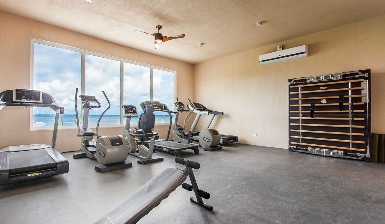 1290940_CEblue_high-Copy-Copy-1