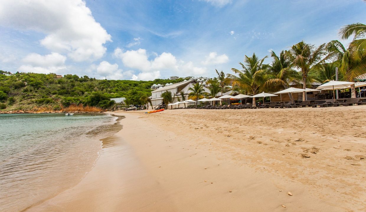 1290953_CEblue_high-Copy-Copy