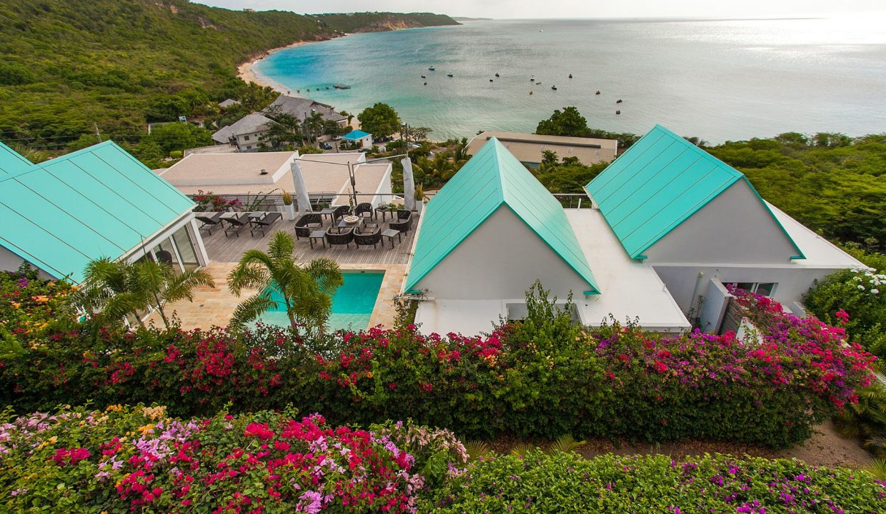 1347505_CEblue_high-Copy-1