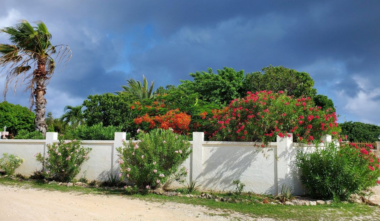 20200901_084936-scaled-1