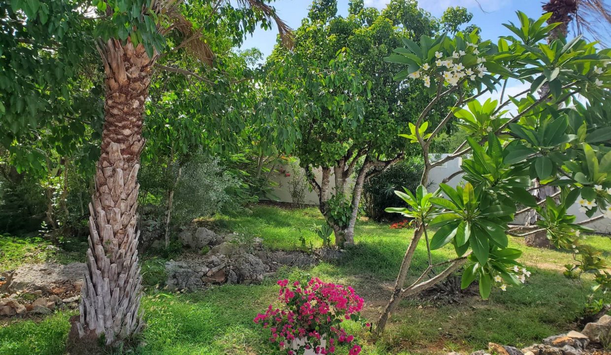 20200901_091422-scaled-1-1