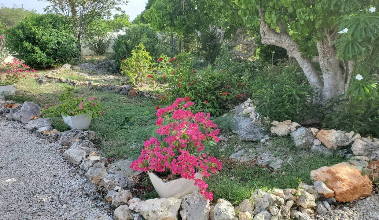 20200902_162121-scaled-1-1