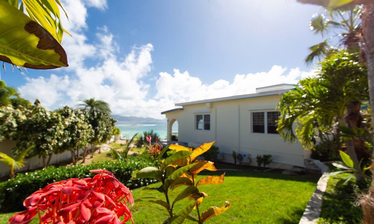 27cd79de7e2e4fc1a806acf74e204a54-Large