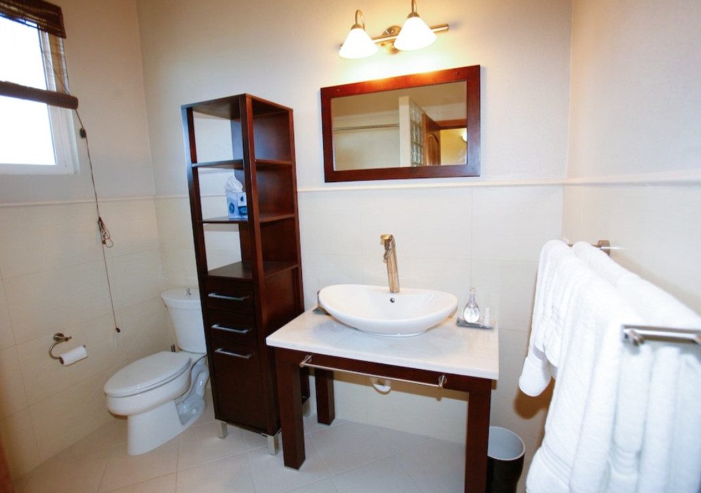 440a1168-bdf9-451d-ad6f-ba8d8a72d9e3_1