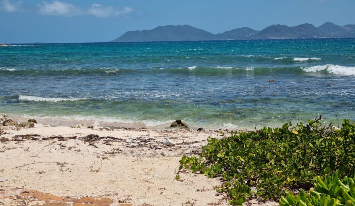 448804086_10161598314360833_8126118792760800499_n