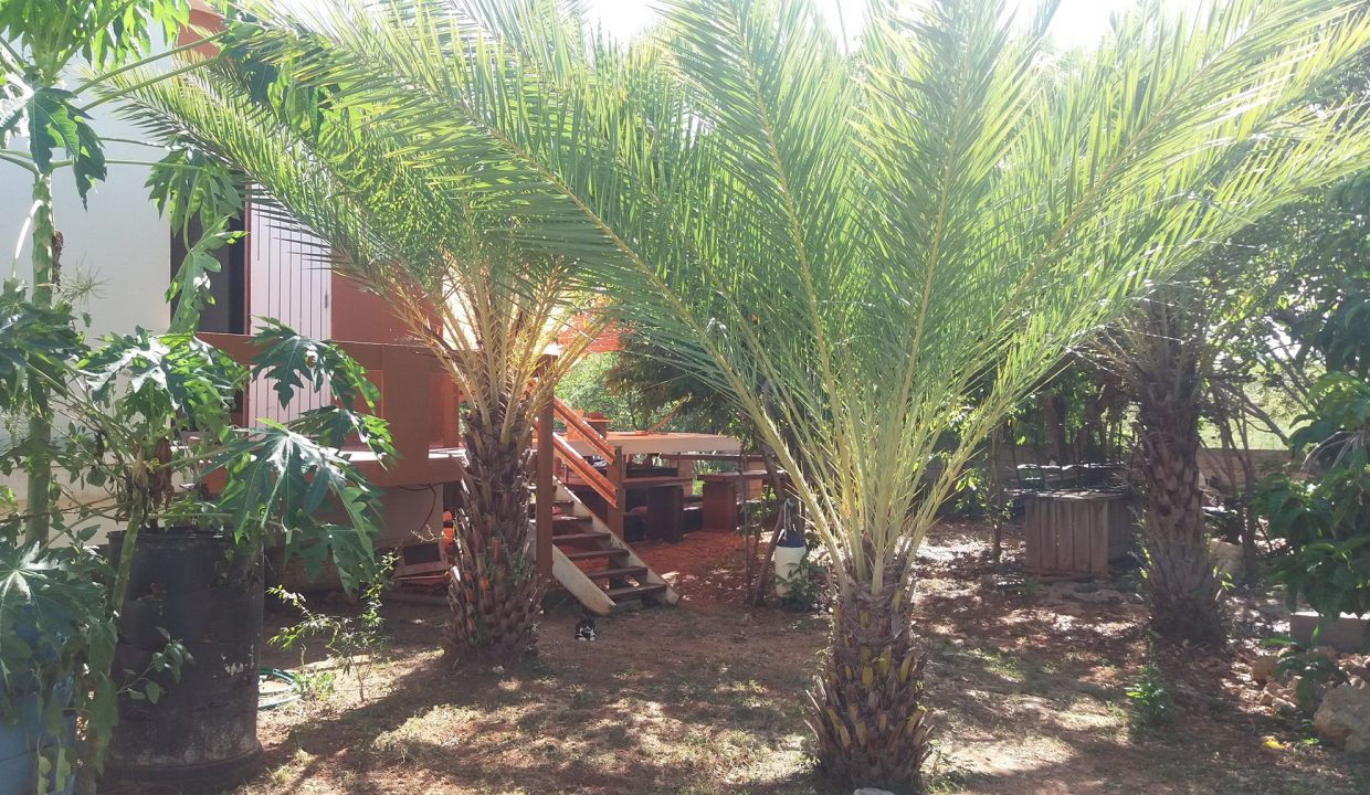 471488844_906358748312209_6682897762647871259_n