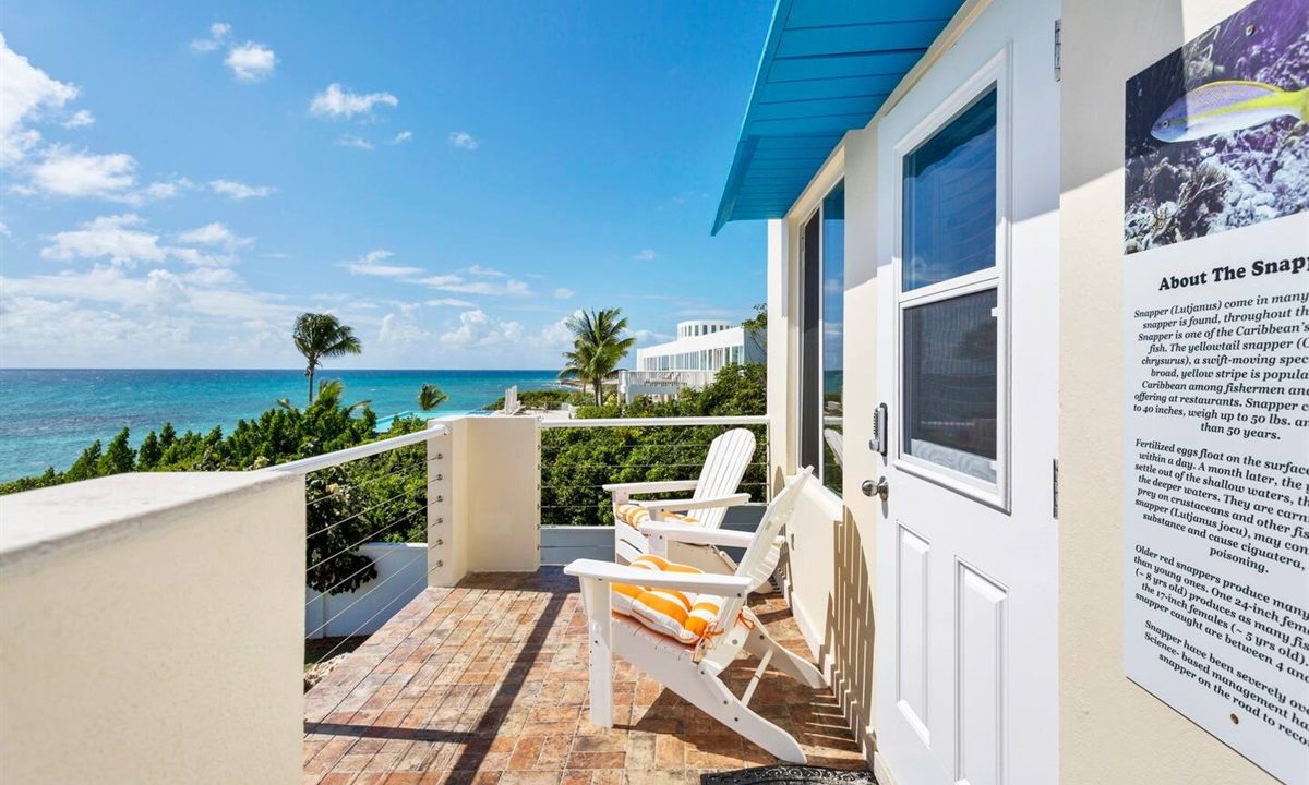 9d5a456e45464f898453fff2e628496d-Large