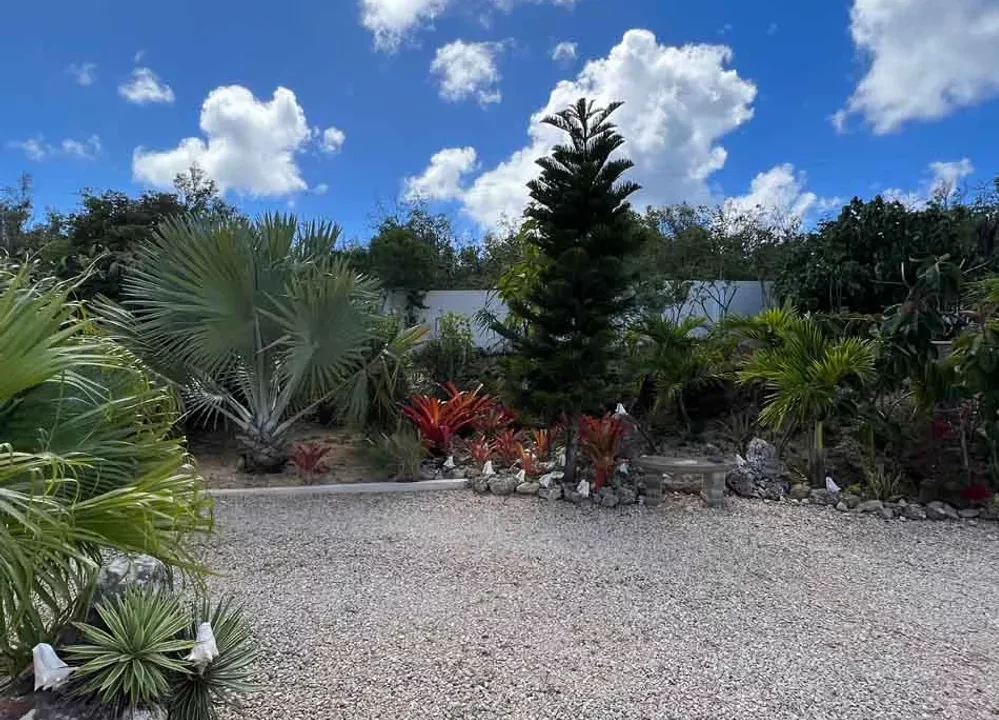 Denito-Long-Bay-West-End-10