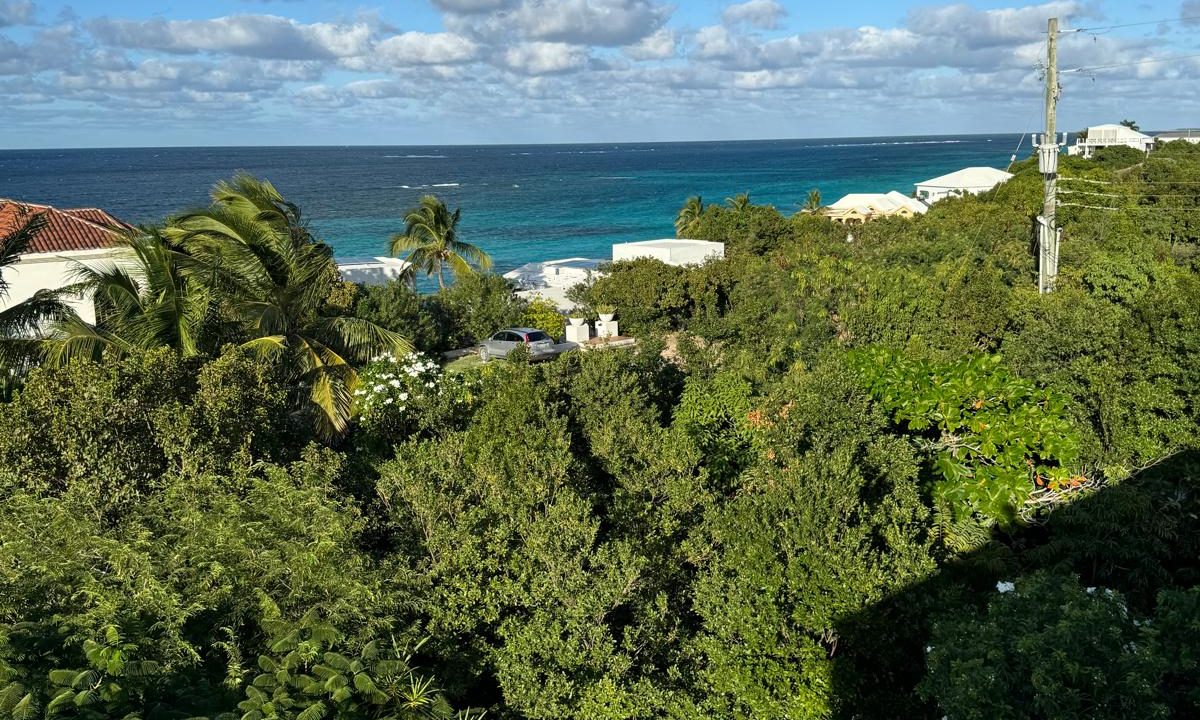 IMG-20250105-WA00161