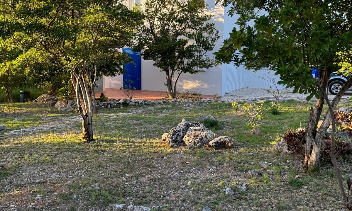 IMG-20250105-WA0092-Copy