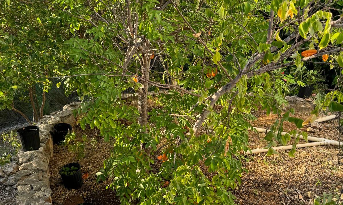 IMG-20250105-WA0103-Copy