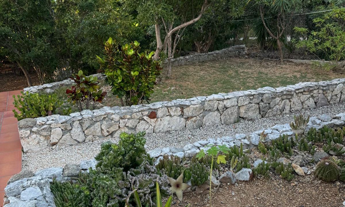 IMG-20250105-WA0116-Copy