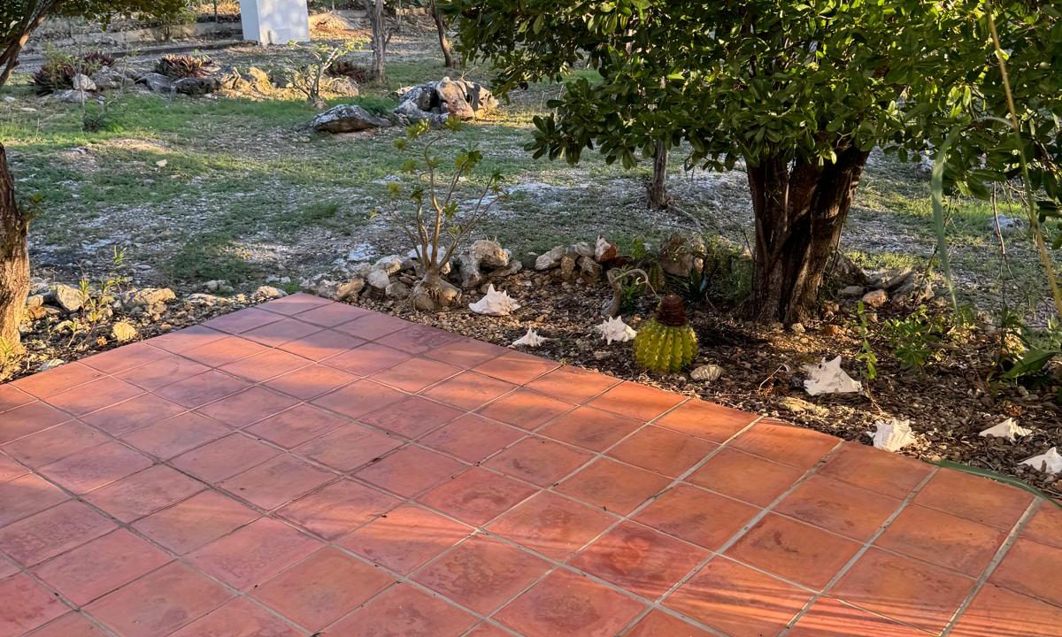 IMG-20250105-WA0122-Copy