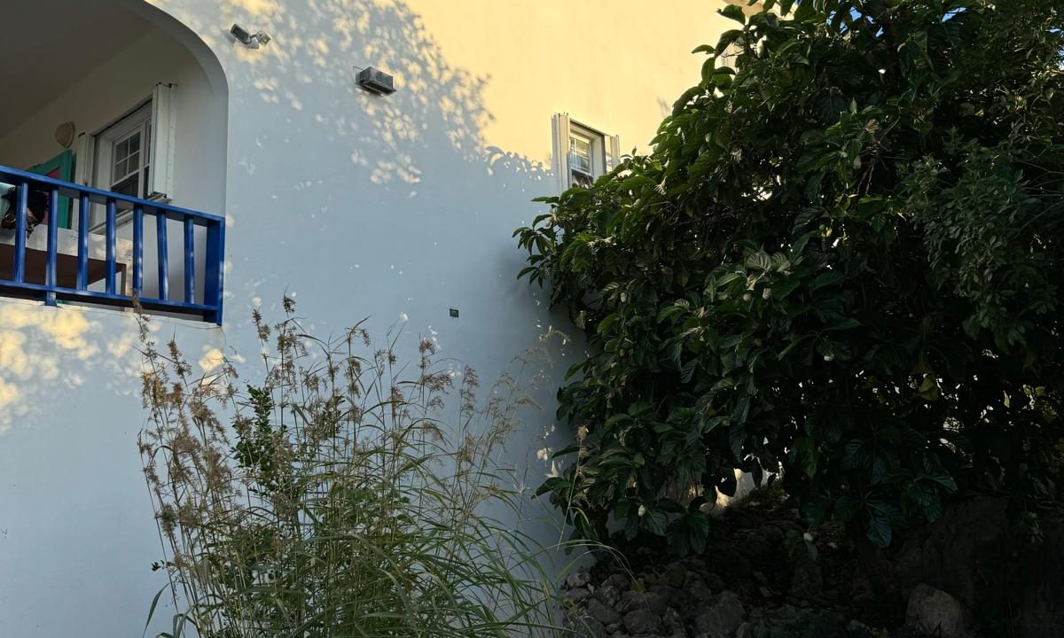 IMG-20250105-WA0124-Copy