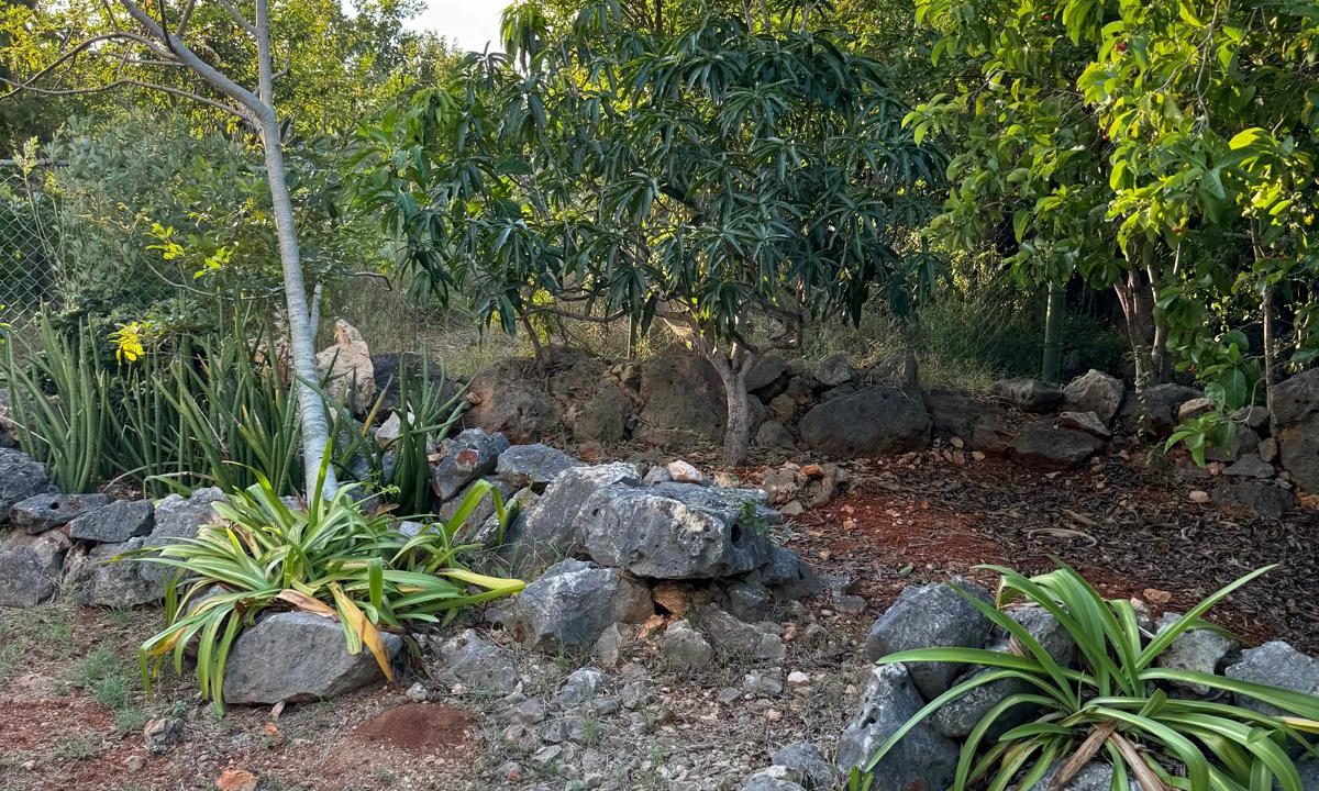 IMG-20250105-WA0126-Copy