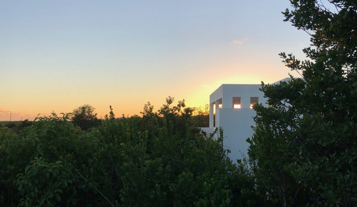 IMG_0948-copyrev-Copy