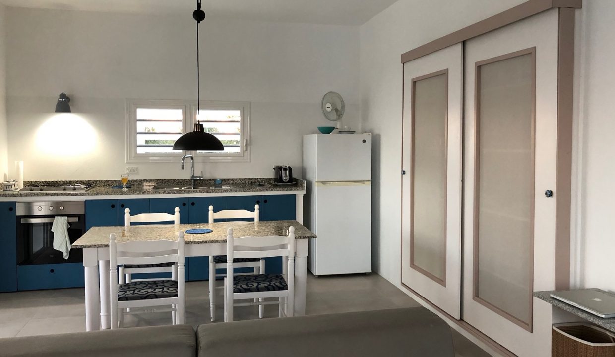 IMG_0982-copyrev-Copy-2-Copy