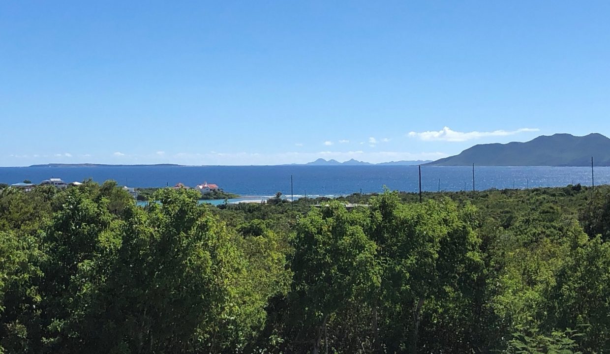 IMG_0990-copyrev-Copy-2-Copy