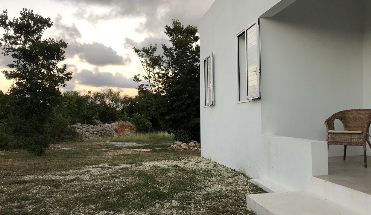 IMG_1050rev-Copy-Copy