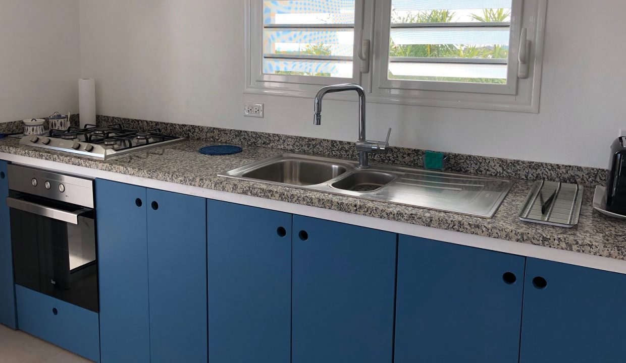 IMG_1126-copyrev-Copy