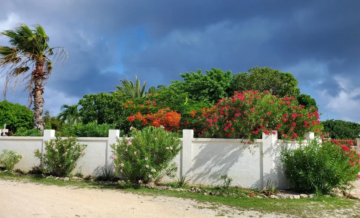 Kuhl-Breeze-Sea-Side-Villa-1