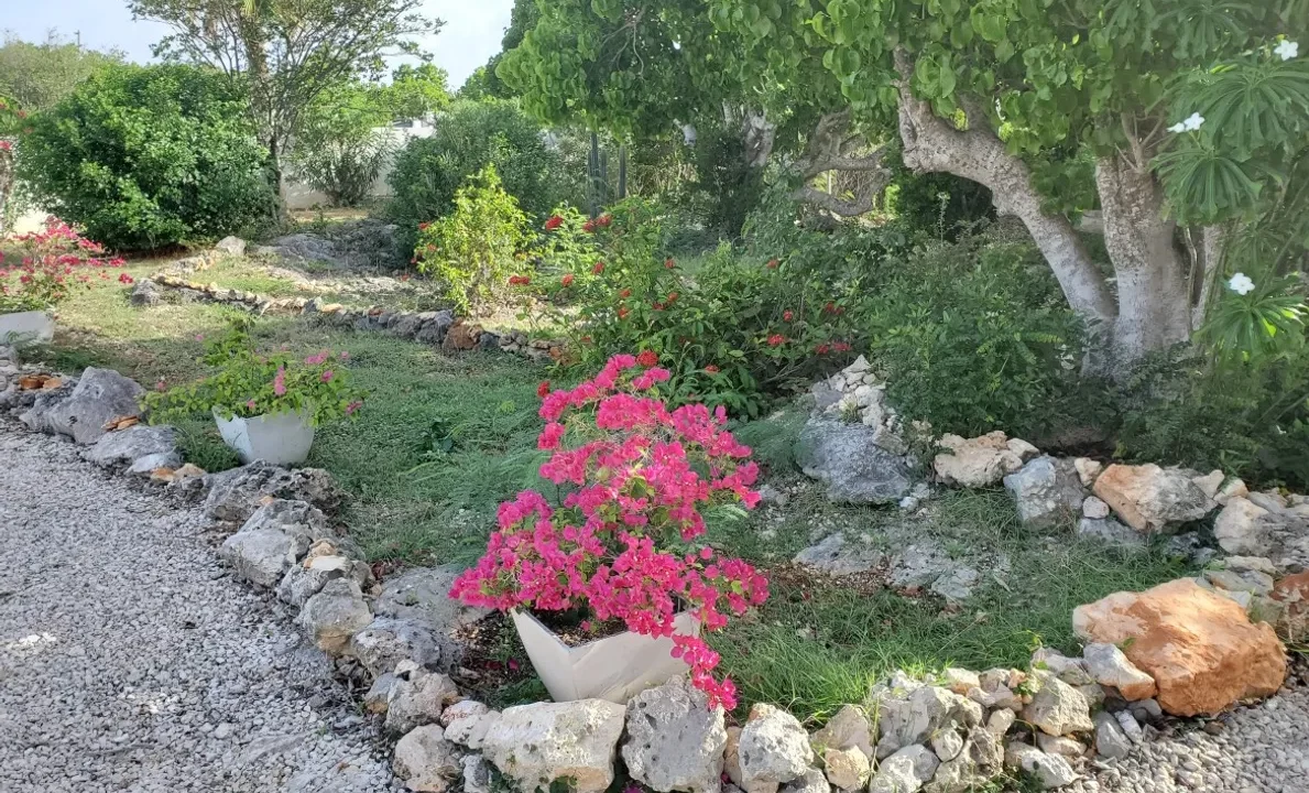 Kuhl-Breeze-Sea-Side-Villa-34