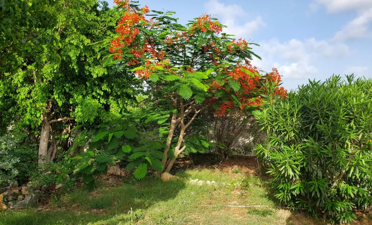 Kuhl-Breeze-Sea-Side-Villa-35