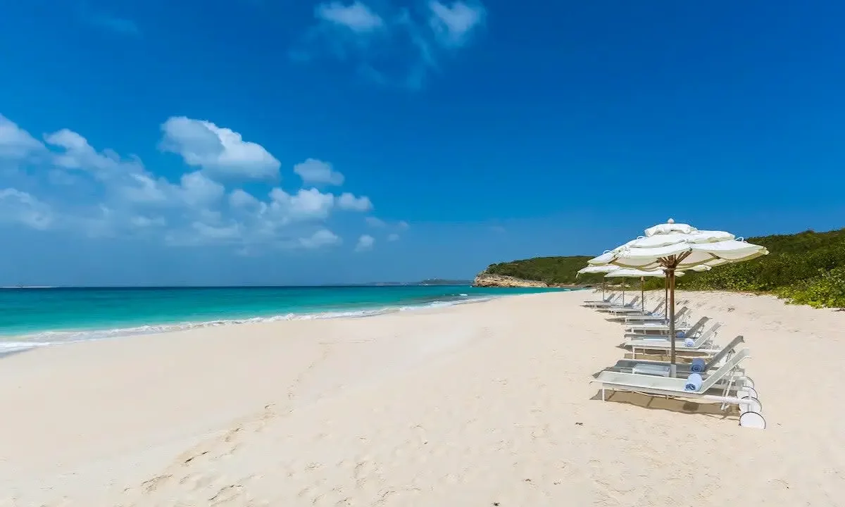 Santosha-Anguilla-17