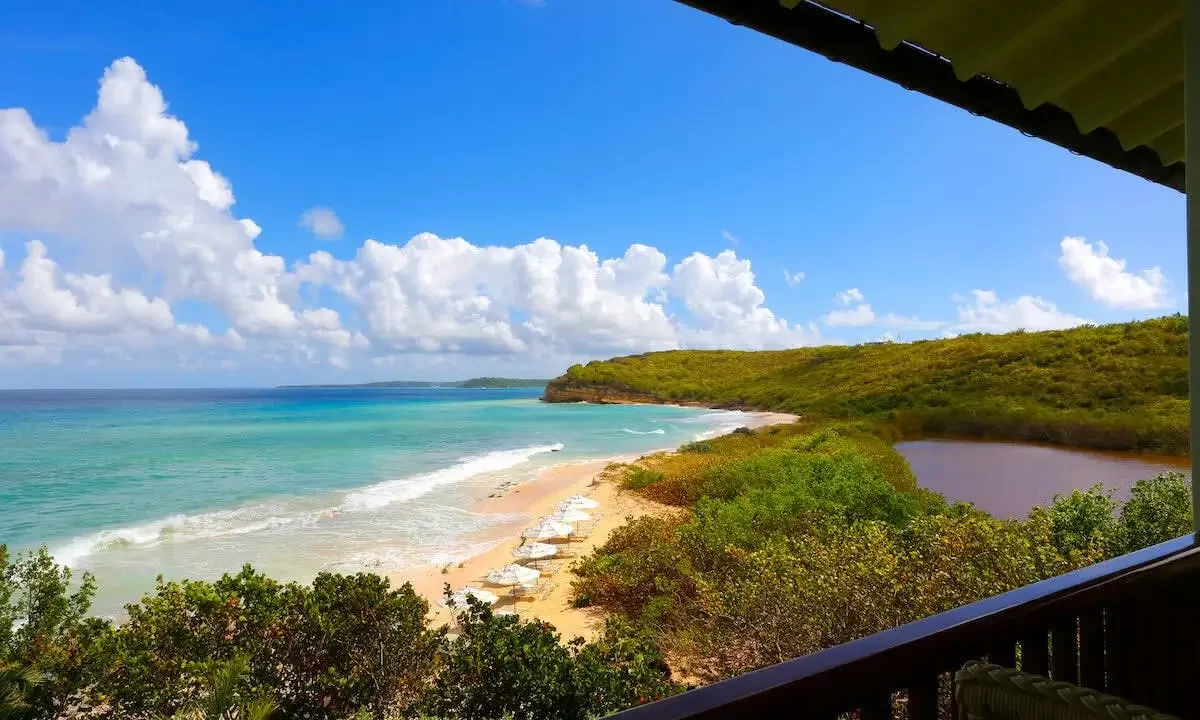 Santosha-Anguilla-18