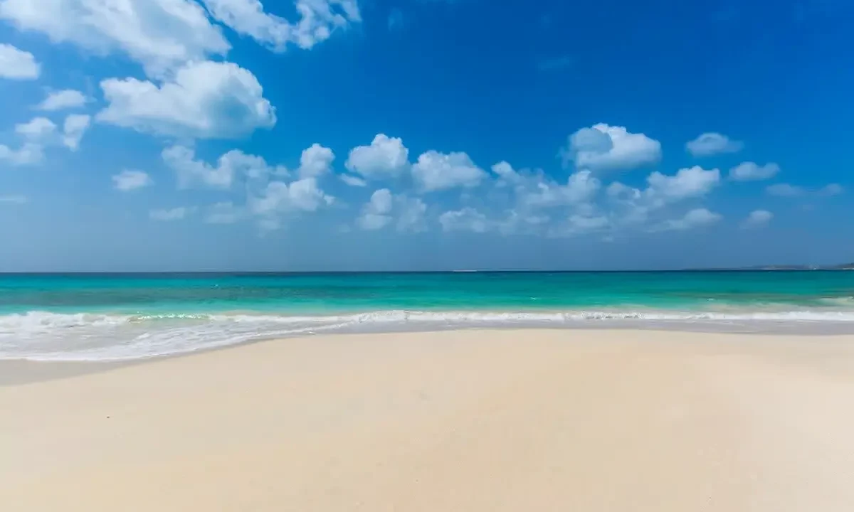 Santosha-Anguilla-22