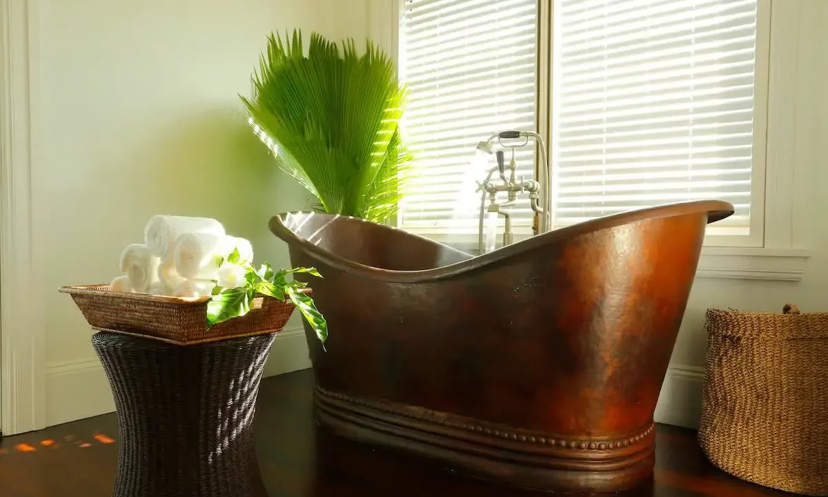 Santosha-Anguilla-25