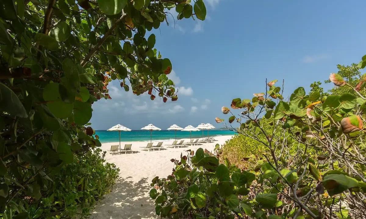 Santosha-Anguilla-30