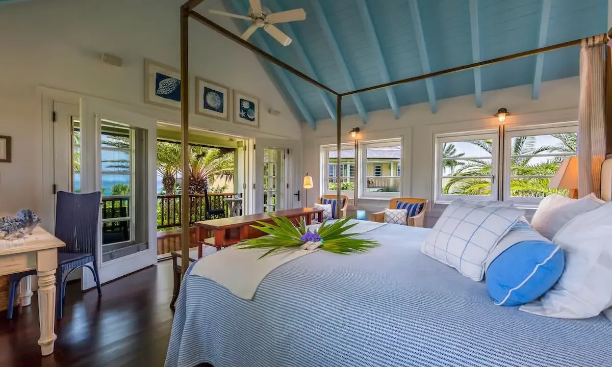 Santosha-Anguilla-35