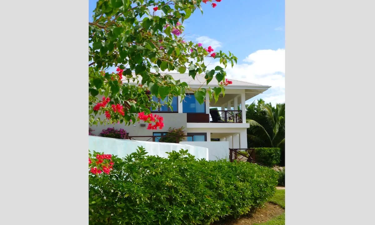 Songbird-Seabird75_1200