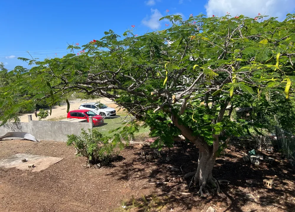 Spring Path House-43