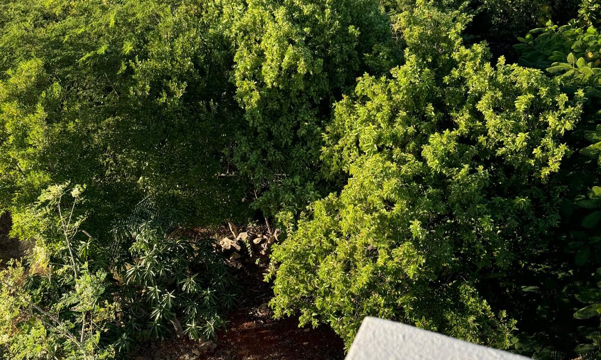 WhatsApp-Image-2025-01-03-at-19.27.52_d27b4115