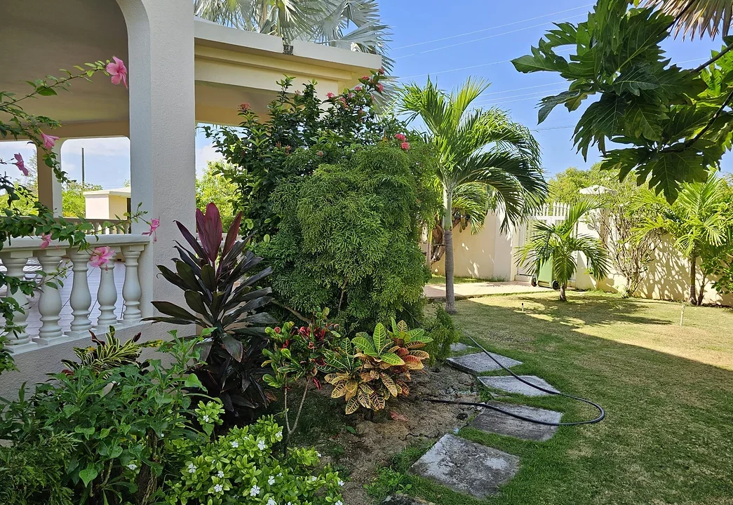 d92b62_dc156cb8bc004dfb8244dccd45135322~mv2