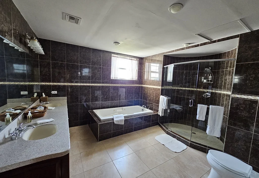 d92b62_e1ea99e4a02e4fb9a933da6fa426e29c~mv2