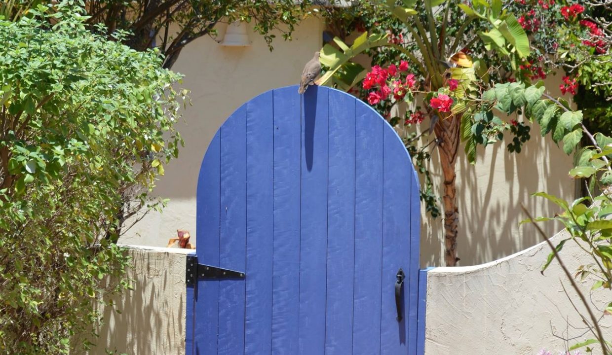 305478042_188208816919379_8535332630354795162_n