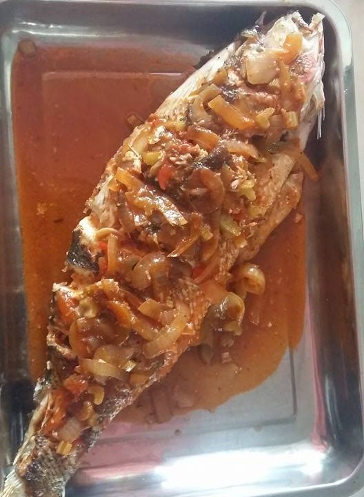 462311353_2564831870372635_5396637749161666932_n