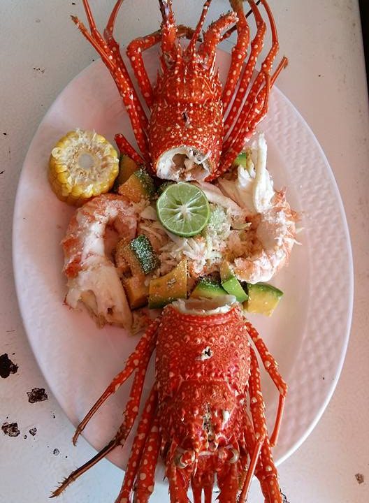 462345562_2564831767039312_2869527276143289804_n