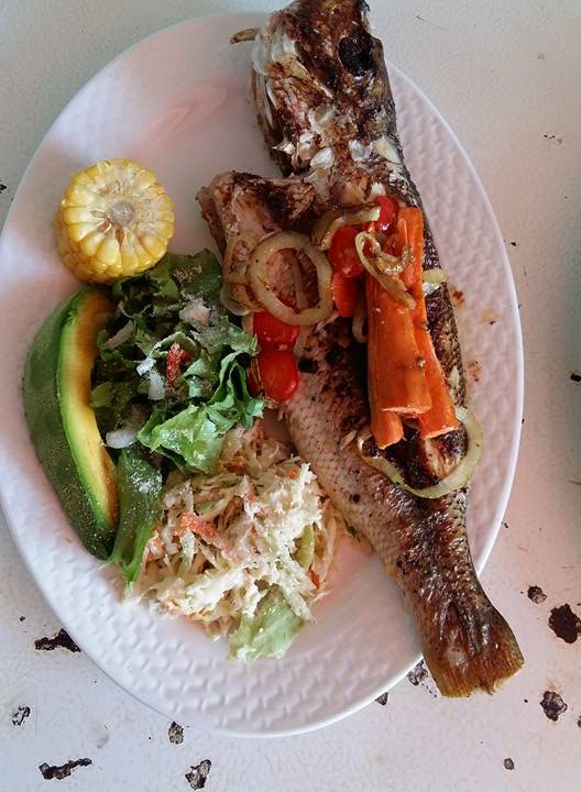 462353884_2564831757039313_4350617984771181209_n