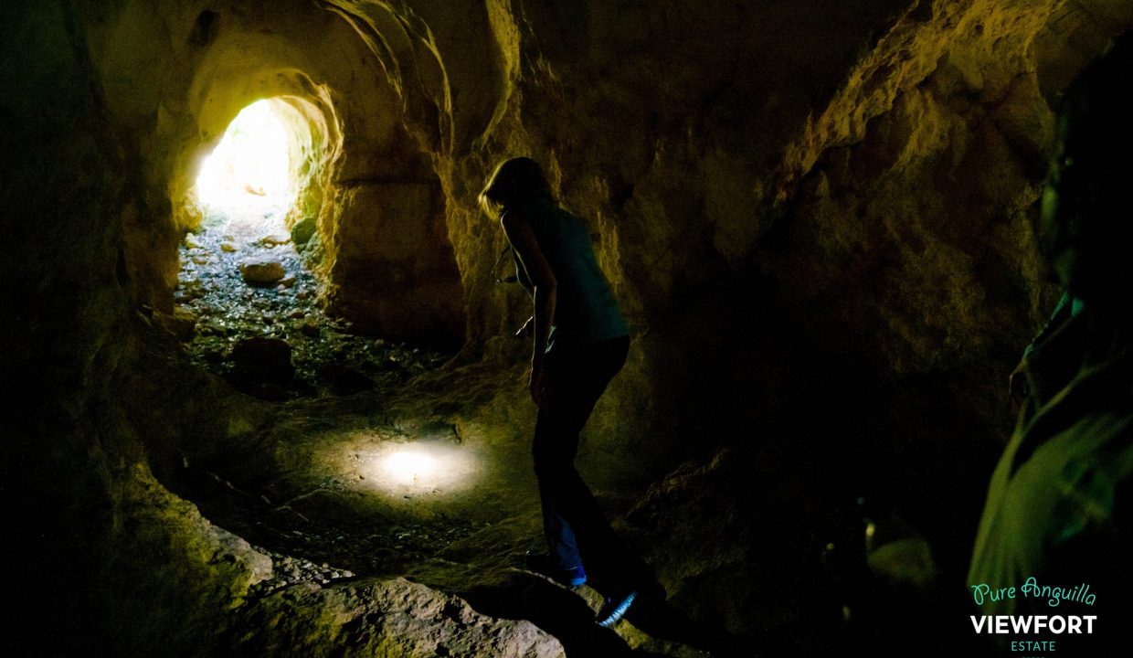 468344567_122175779492125004_8922971209162714266_n