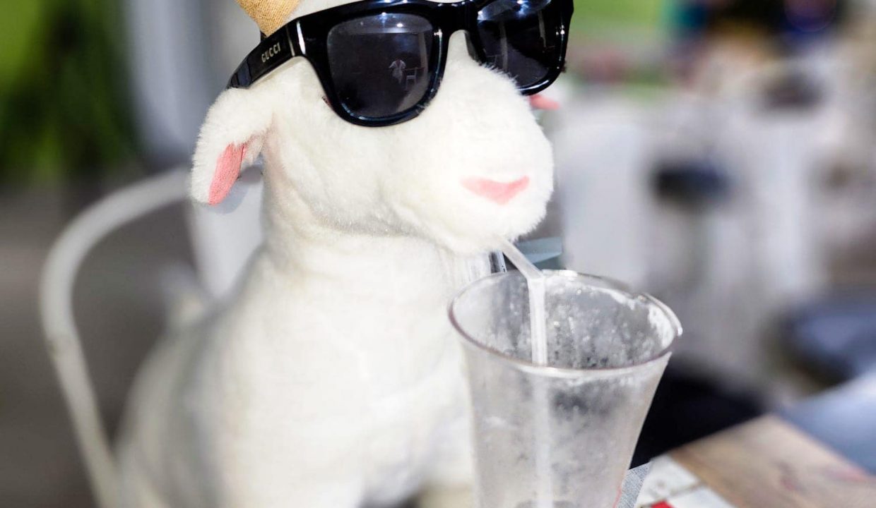 471312447_122188456574171597_8598092619510225798_n