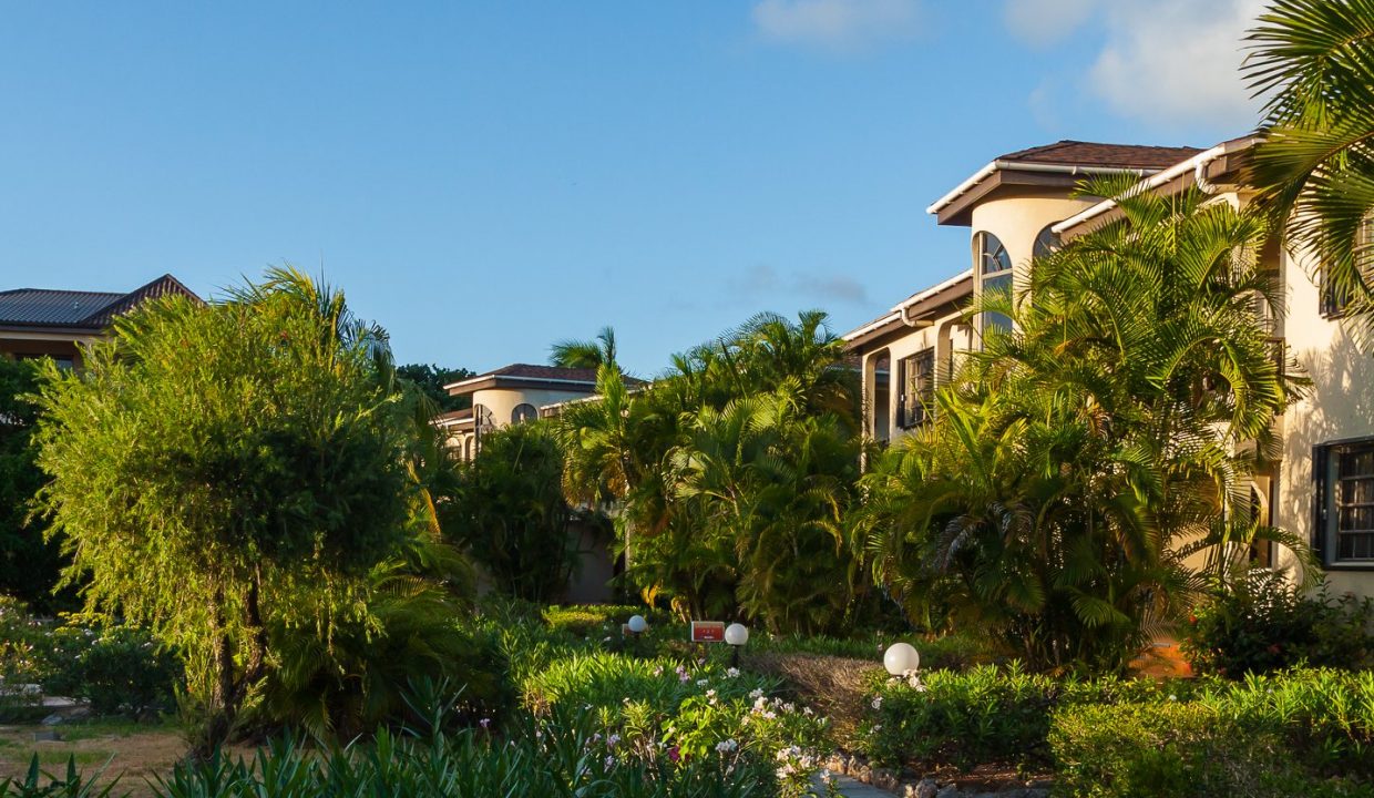 476112766_1023336533165372_7160206139763740342_n