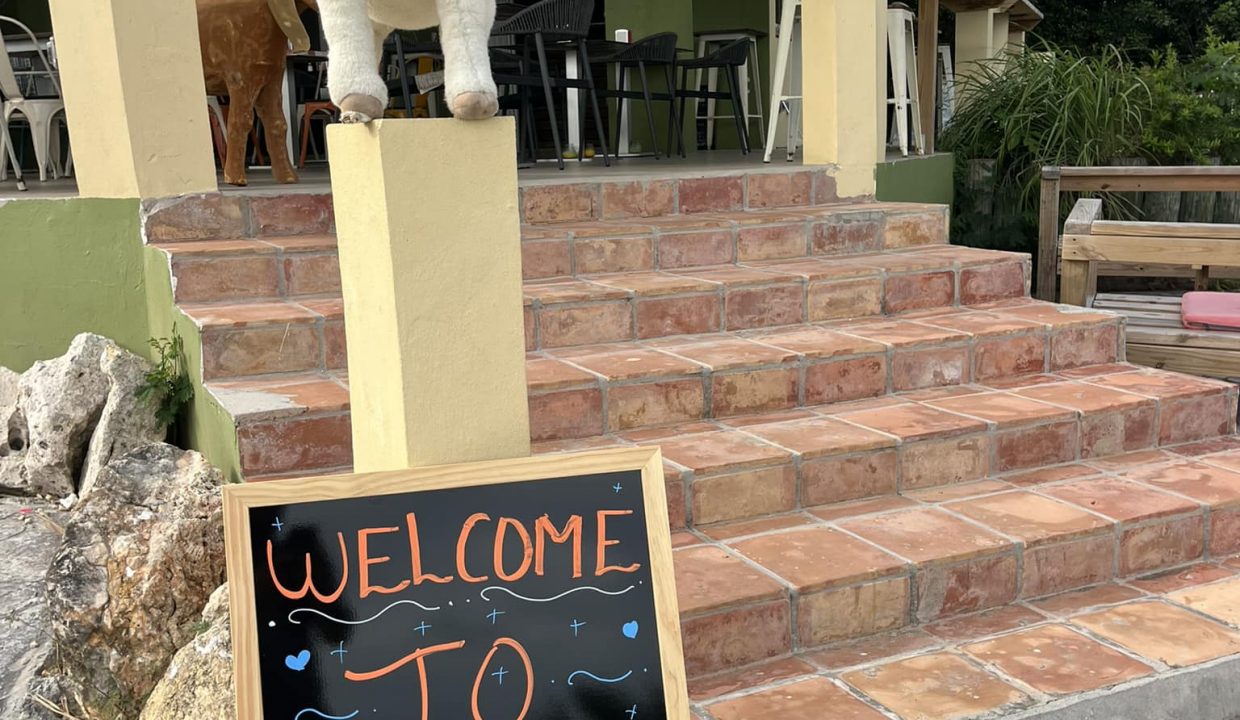 476822462_122195962358171597_7649369225538855432_n