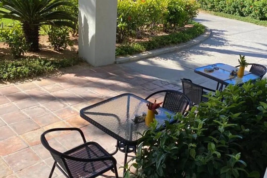 489542859_1229936925808617_7971326625992699048_n