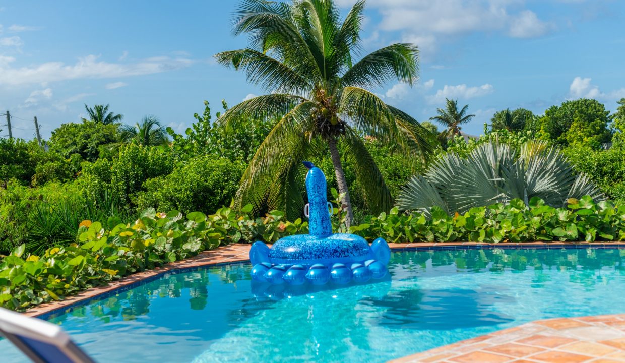 491956978_1290990052814445_4052218901479285368_n