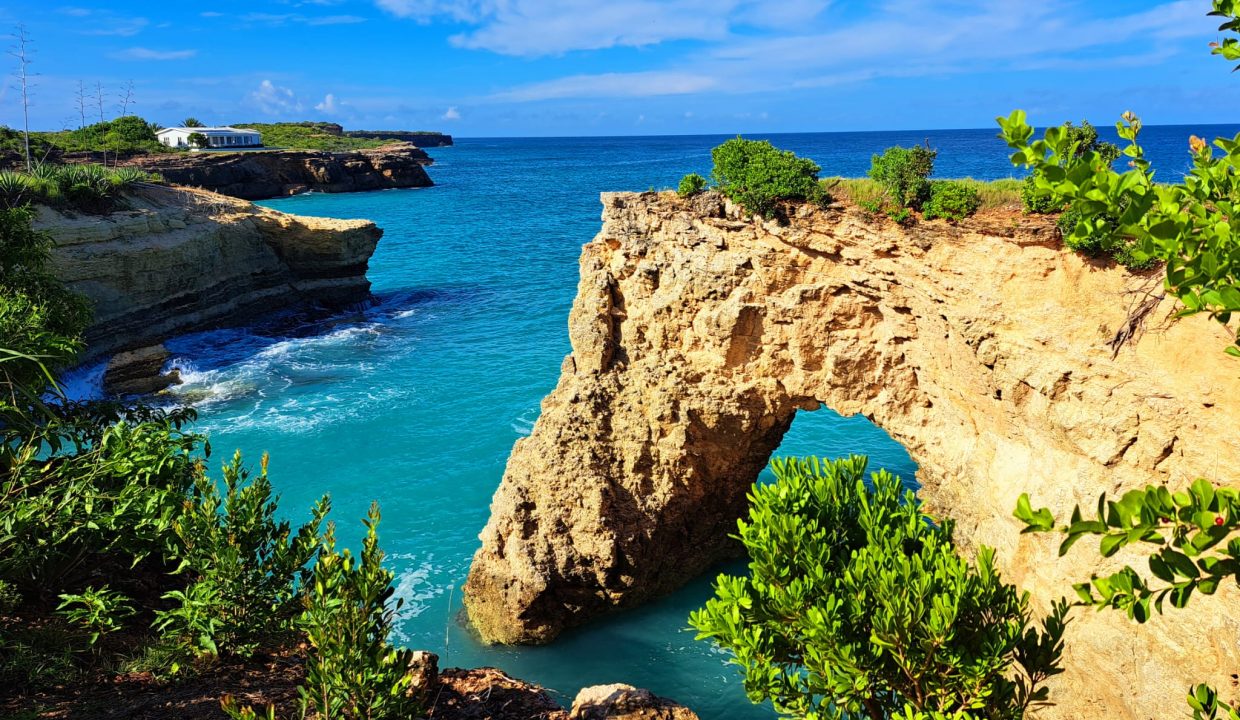 492000415_1290998786146905_182573149552632682_n