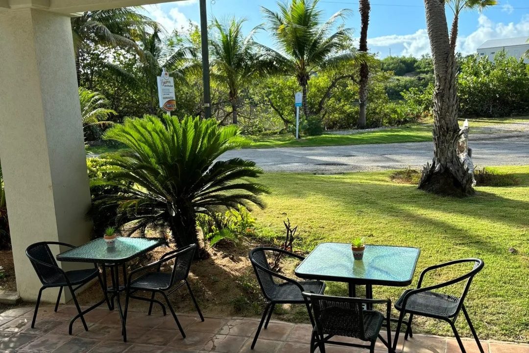 493746357_1244353634366946_8656297331927282352_n